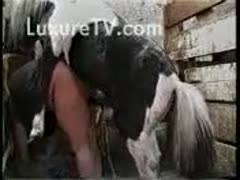 A colt gets creampied by a mischievous person.